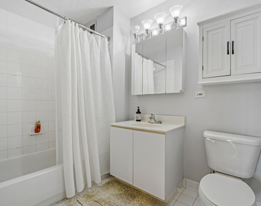 2 E Erie Street - Photo Thumbnail 11