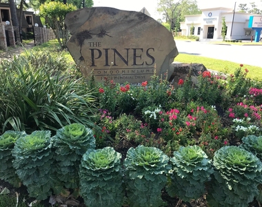 12633 Memorial Drive - Photo Thumbnail 16