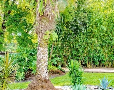 33721 Spring Drive - Photo Thumbnail 76
