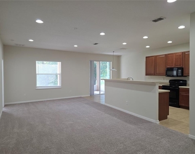 311 Rambling Circle - Photo Thumbnail 3