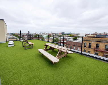 286 Stanhope Street - Photo Thumbnail 8