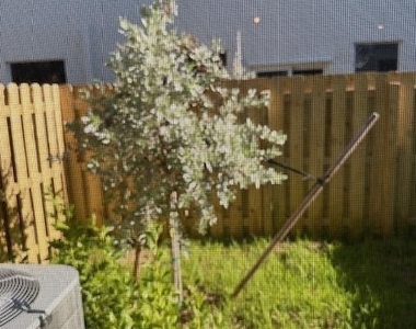 1154 Se 2 Street - Photo Thumbnail 42