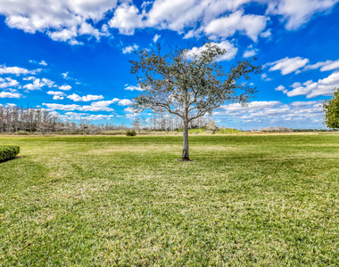 802 Sabal Palm Lane - Photo Thumbnail 21
