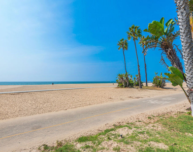 7301 Vista Del Mar - Photo Thumbnail 44