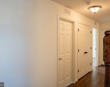 42243 Canary Grass Square - Photo Thumbnail 24