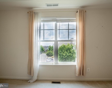42243 Canary Grass Square - Photo Thumbnail 56