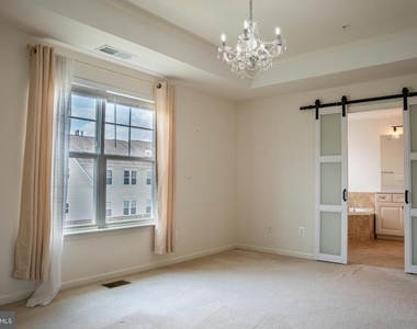 42243 Canary Grass Square - Photo Thumbnail 54