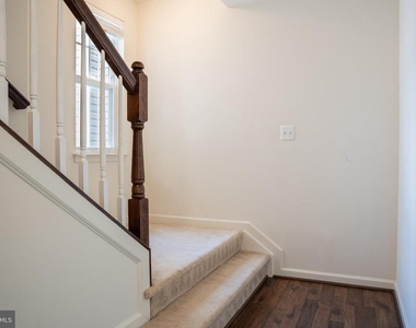 42243 Canary Grass Square - Photo Thumbnail 41