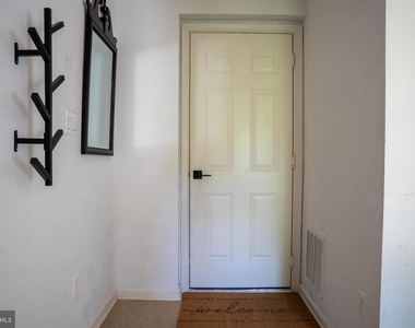 42243 Canary Grass Square - Photo Thumbnail 75
