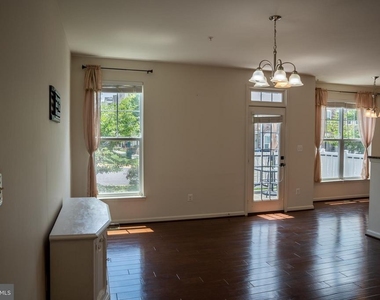 42243 Canary Grass Square - Photo Thumbnail 4