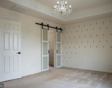 42243 Canary Grass Square - Photo Thumbnail 51