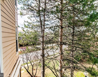 2204 Westcourt Lane - Photo Thumbnail 16
