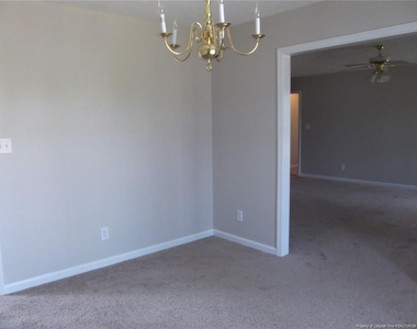 2937 Piney Mountain Drive - Photo Thumbnail 19