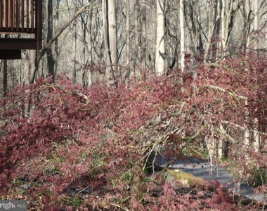 814 Rustic Lane - Photo Thumbnail 12