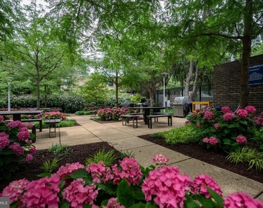 1301 Delaware Avenue Sw - Photo Thumbnail 41