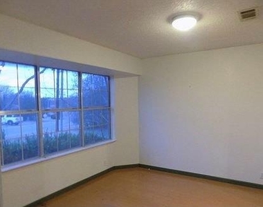 509 Meadowbrook Dr - Photo Thumbnail 13