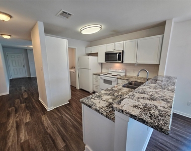 16721 Hamilton Point Cir - Photo Thumbnail 4