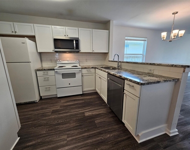 16721 Hamilton Point Cir - Photo Thumbnail 5