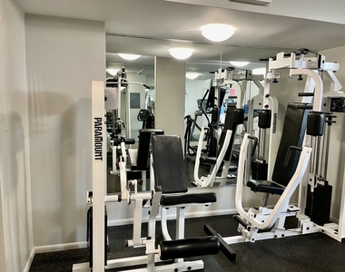 1550 N Lake Shore Drive - Photo Thumbnail 20