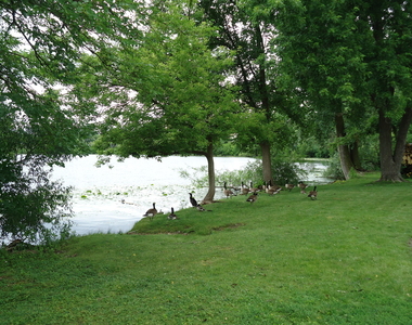 2539 Brunswick Circle - Photo Thumbnail 17