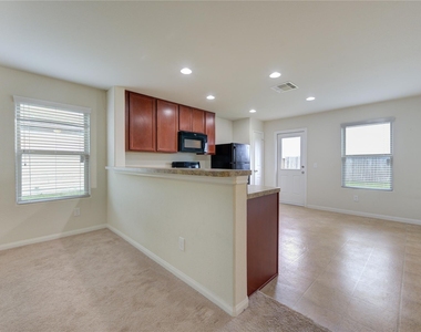 1315 Pease River Lane - Photo Thumbnail 12