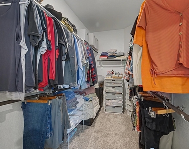 10842 Cliffs View Drive - Photo Thumbnail 25