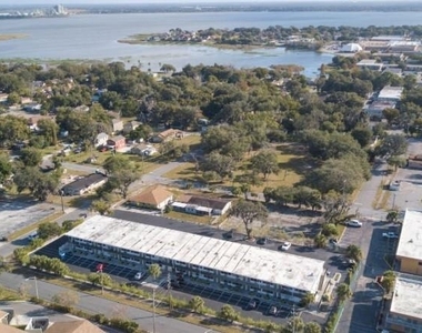 515 Bon Air Street - Photo Thumbnail 6