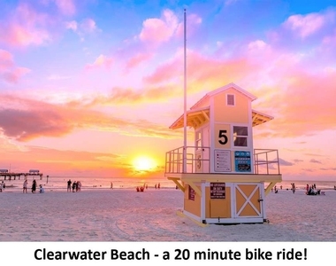 1142 Sunset Point Road - Photo Thumbnail 8