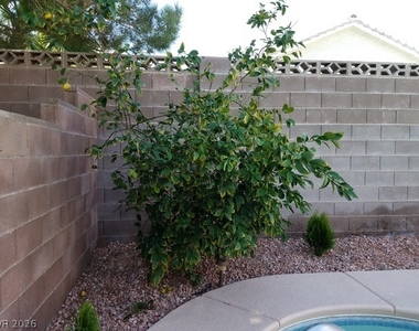 3767 Ruskin Street - Photo Thumbnail 27