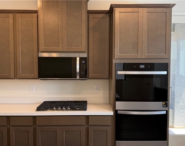 1513 Bat Hawk Street - Photo Thumbnail 12