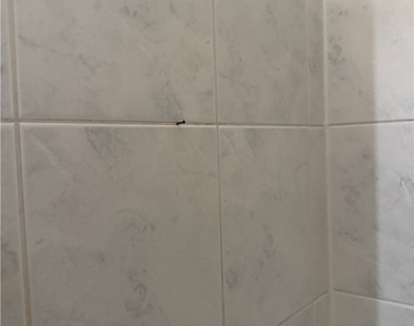 135 Primero Way - Photo Thumbnail 12
