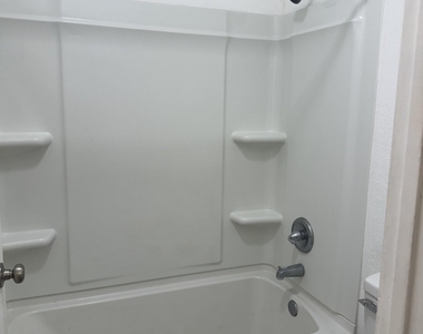 1215 E Lemon Street - Photo Thumbnail 9