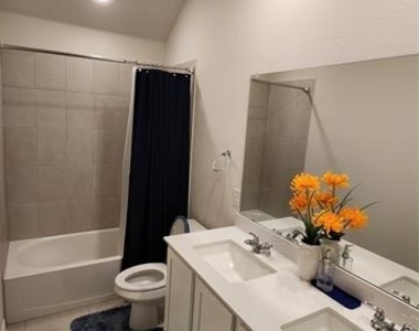1007 Marigold Street - Photo Thumbnail 3