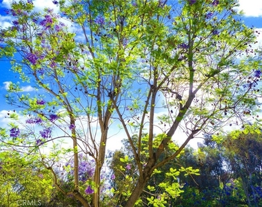 21155 Via Canon - Photo Thumbnail 43