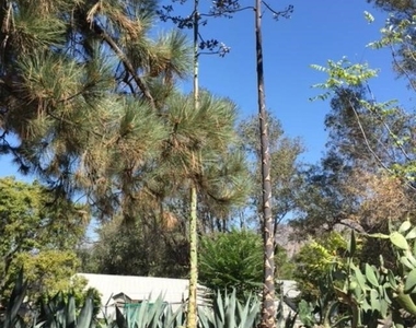 10630 Hillhaven Avenue - Photo Thumbnail 4