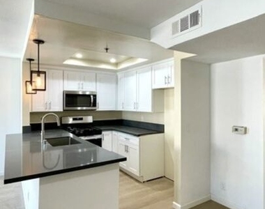 420 S Harvard Boulevard - Photo Thumbnail 3