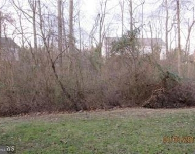 21511 Welby Terrace - Photo Thumbnail 18