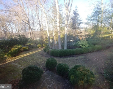 1429 Laburnum Street - Photo Thumbnail 17