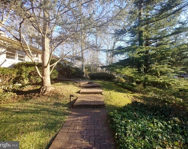 1429 Laburnum Street - Photo Thumbnail 2