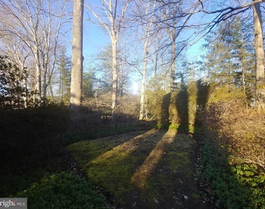 1429 Laburnum Street - Photo Thumbnail 3