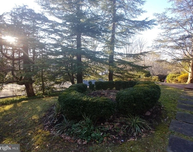 1429 Laburnum Street - Photo Thumbnail 4