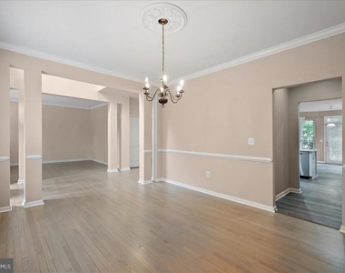 905 Royal Elm Court - Photo Thumbnail 11