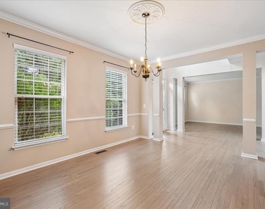 905 Royal Elm Court - Photo Thumbnail 9