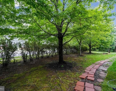 905 Royal Elm Court - Photo Thumbnail 66