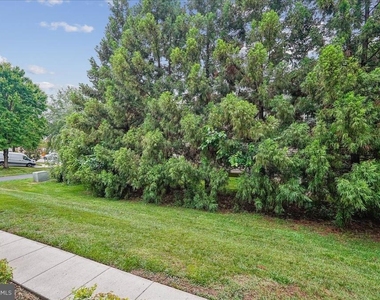 905 Royal Elm Court - Photo Thumbnail 61