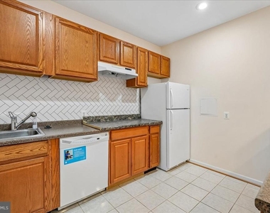 905 Royal Elm Court - Photo Thumbnail 50