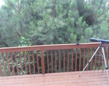 132 Linden Park Lane - Photo Thumbnail 12
