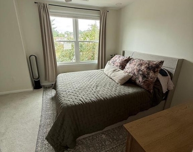 703 Stillhouse Lane - Photo Thumbnail 8