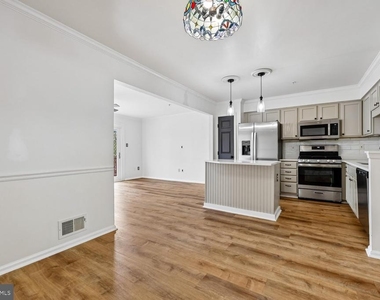 4616 Ripley Manor Terrace - Photo Thumbnail 17