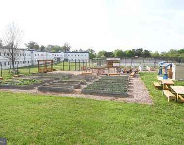3506 Harrell Street - Photo Thumbnail 114